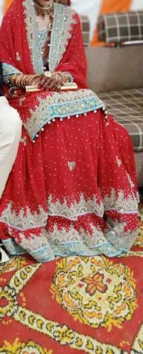 bridle dress 