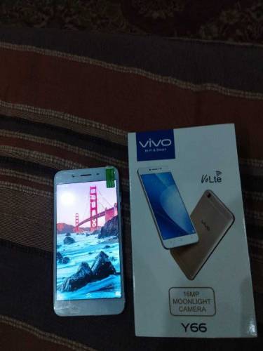 Vivo Y66