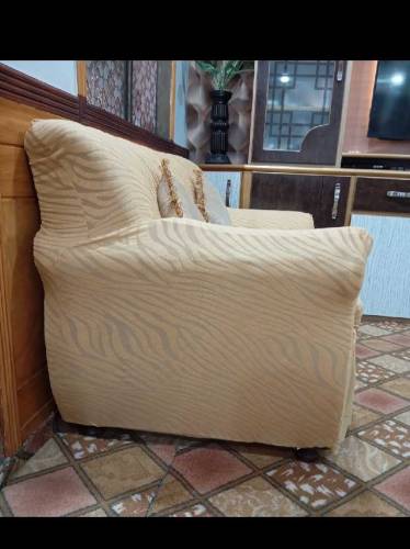 Sofa Cover (Zebra fabric)