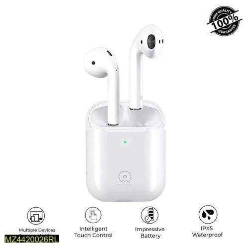 ear buds 