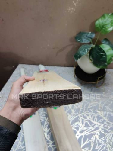 Hardball Cricket Bat