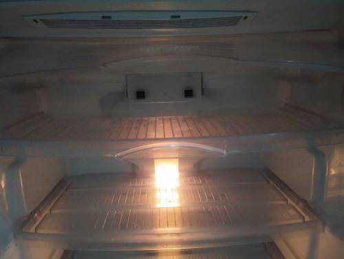 Full size fridge no frost fridge condition 10/9.5