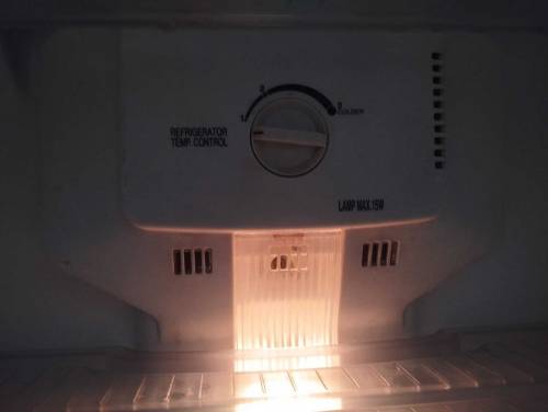 Full size fridge no frost fridge condition 10/9.5