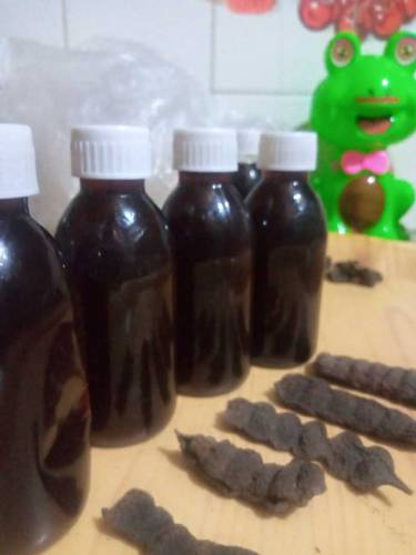 Premium Herbal Hair Oil