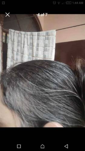 Premium Herbal Hair Oil