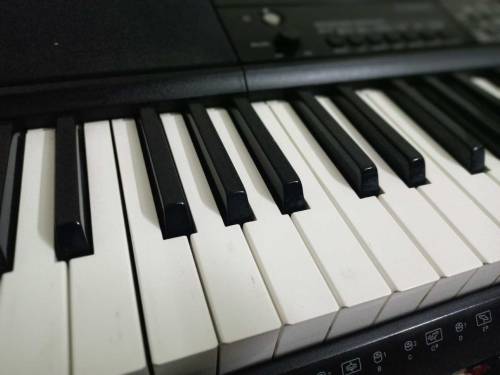 Casio ctx-800 