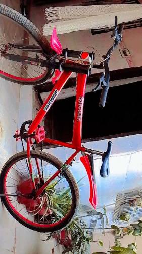 maroon Ferrari cycle with premium design for sale 