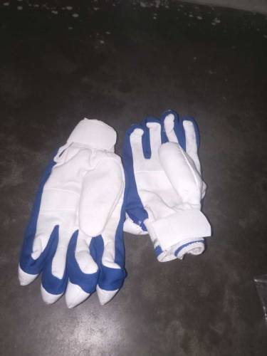 cricket kit