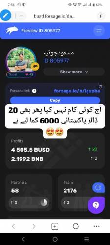 گھر بیٹھے ڈالر کمائیں 