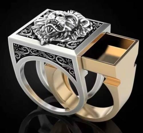 An amazing Ring suitable for mens