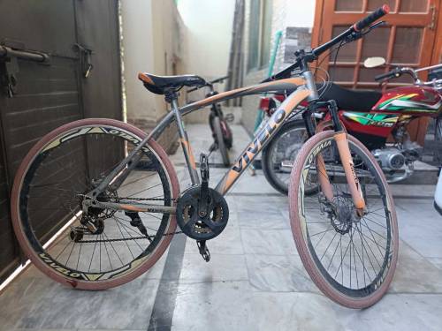 Vivelo bicycle