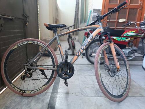 Vivelo bicycle