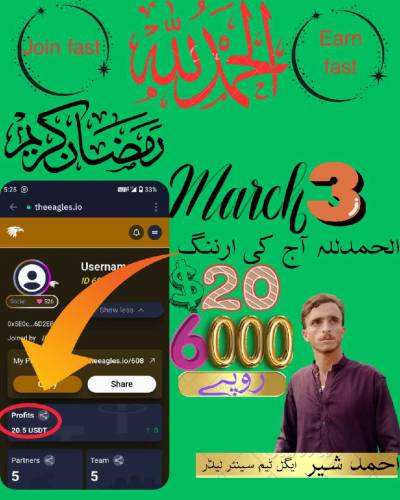 اگر آپ بھی گھر بیٹھے dollars کمانا چاہتے ہیں تو ابھی sms کریں 