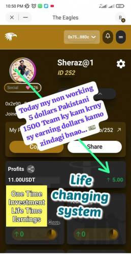online work kara or dollars ma earning kara