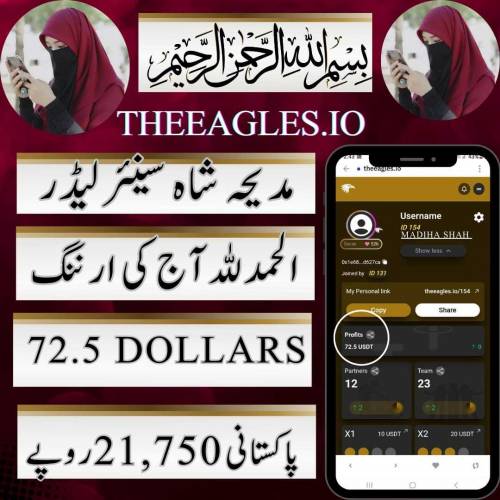 The eagles. io