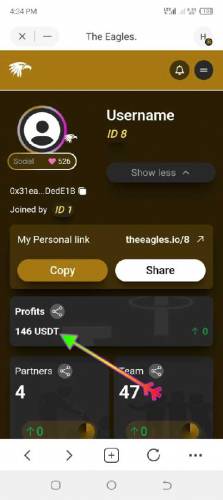 1700 sa business start kara or dollars ma earning kara 