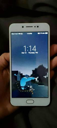 vivo y67 4 64 urgent sale contact me 03183646158