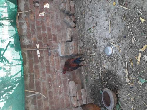 Manga Mande Lahore