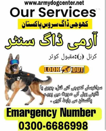 Army dog center