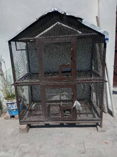 Iron Cage