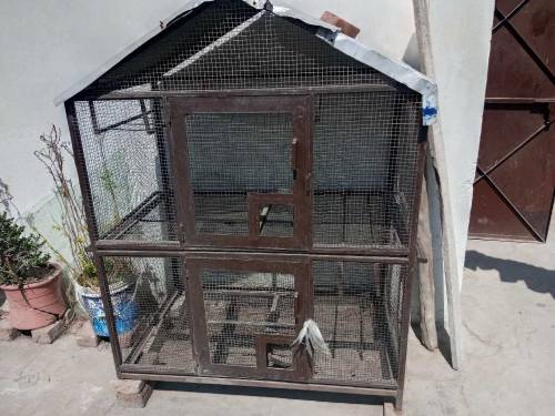 Iron Cage
