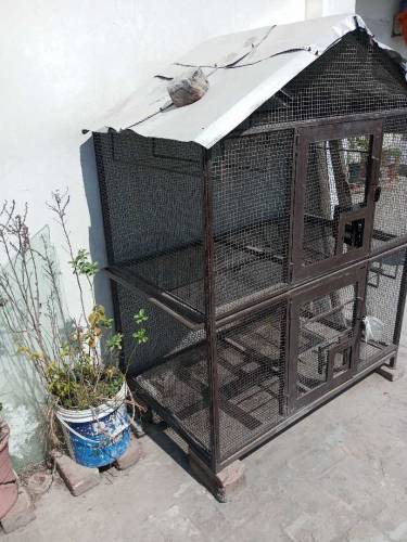 Iron Cage