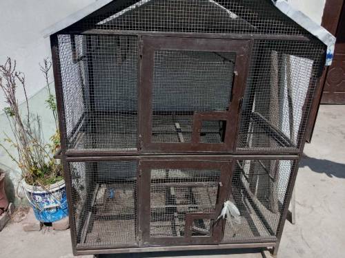 Iron Cage