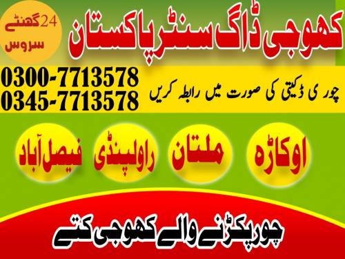 Army Dog Center Multan 0300-7713578