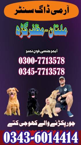 Army Dog Center Multan 0300-7713578