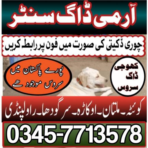 Army Dog Center Multan 0300-7713578
