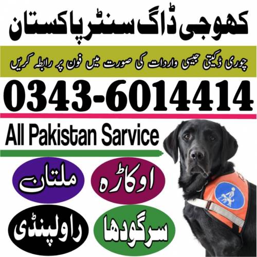 Army Dog Center Multan 0300-7713578