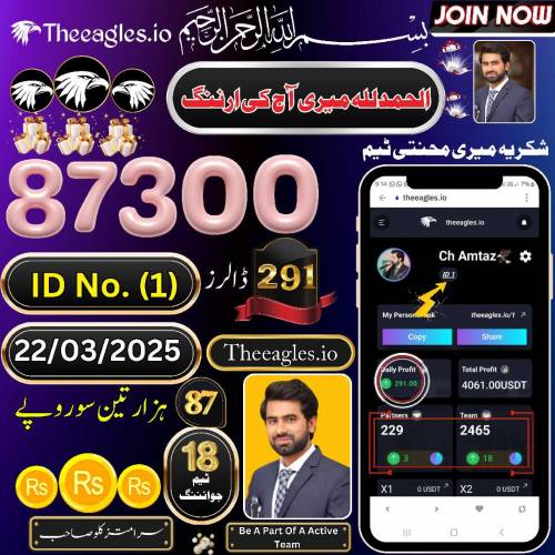 گھر بیٹھ کر آن لائن ورک سے ڈیلی 5000 سے 10000 تک کماؤ 