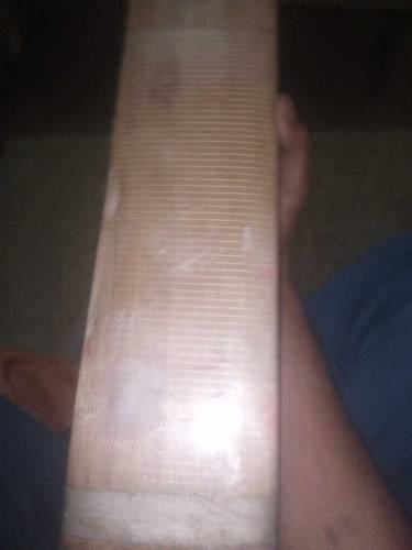 Cricket bet