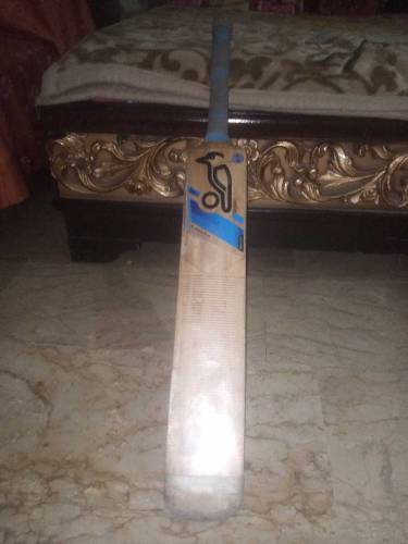 Cricket bet