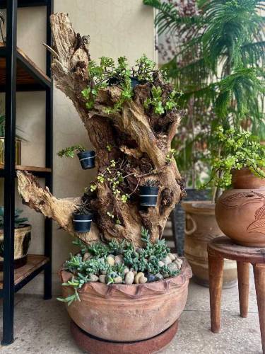wooden bonsai pot