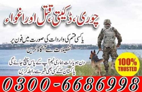 Army dog center