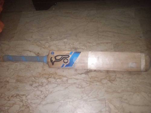 Cricket bet