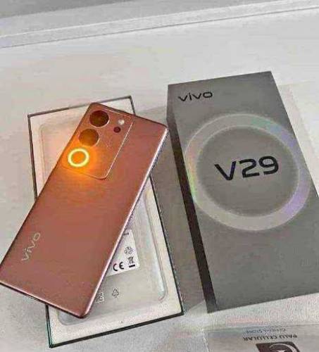 vivo V29e in low range 