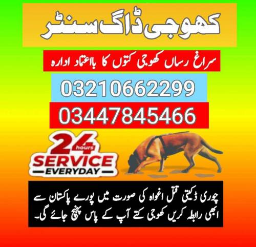 army_dog_centre_chakwal 03210662299